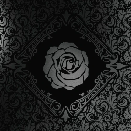Black Rose Wars: Odrodzenie + Rotas Box