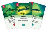 kelp-gra-planszowa-polska-galakta-karty.jpg