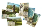 rebel-gra-strategiczna-lesne-rozdanie-dartmoor-asset1.webp
