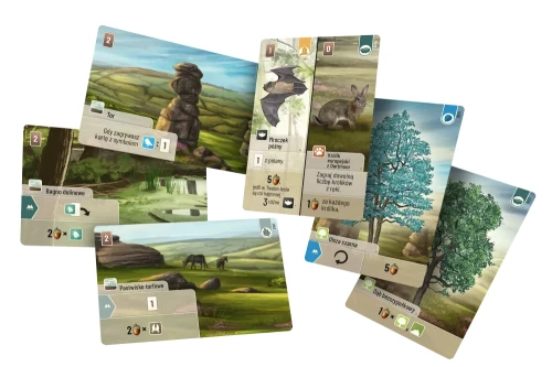 rebel-gra-strategiczna-lesne-rozdanie-dartmoor-asset1.webp