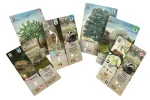 rebel-gra-strategiczna-lesne-rozdanie-dartmoor-asset2.webp