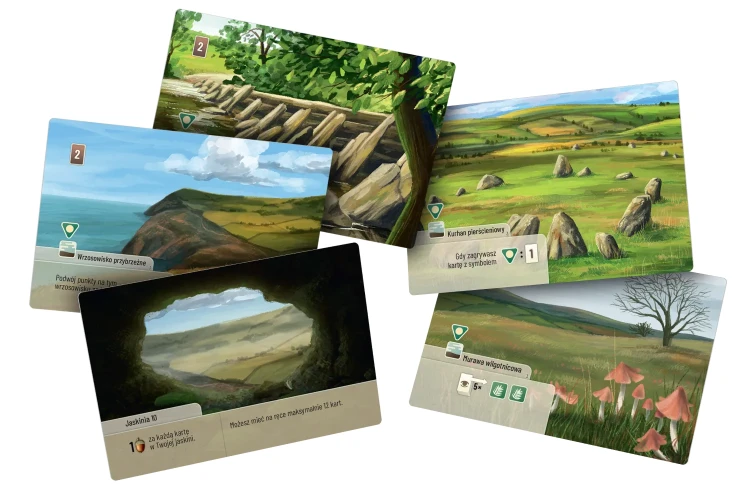 lesne-rozdanie-dartmoor-exmoor-jaskinie.webp
