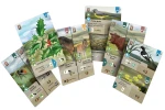 lesne-rozdanie-dartmoor-exmoor-karty.webp
